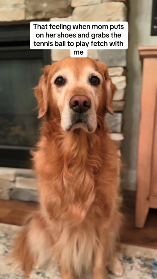 Post 1 by Maggie May on TikTok (video)