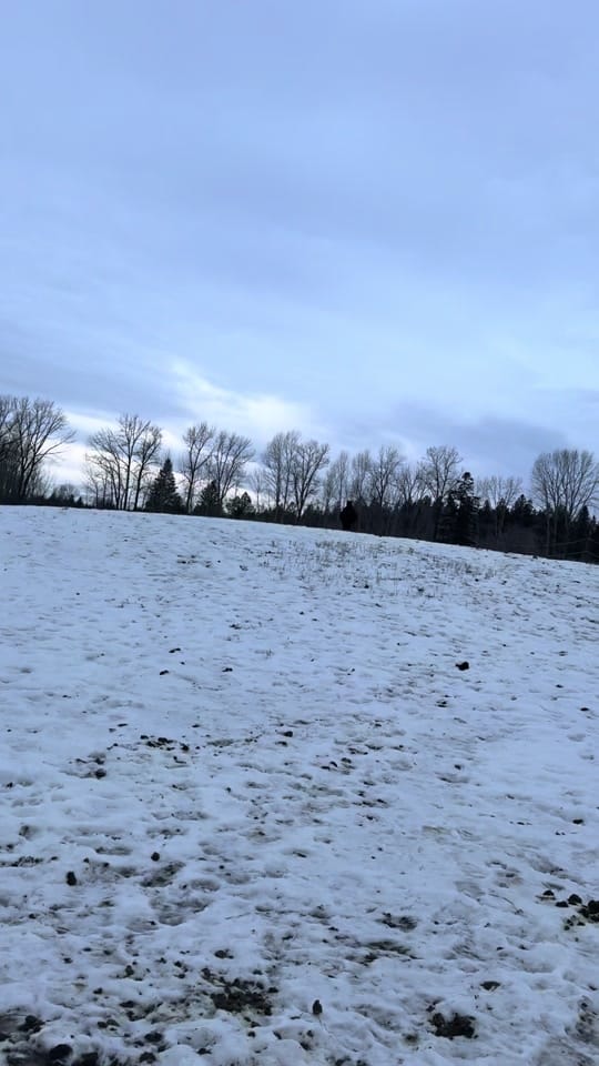 Post 2 by Montana _hannah406 on TikTok (video)