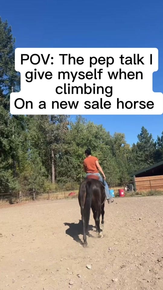 Post 5 by Montana _hannah406 on TikTok (video)