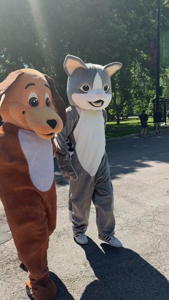Post 1 by Anti-Cruelty on TikTok (video)