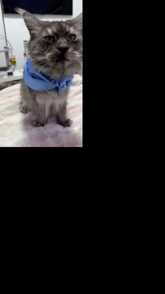 Post 6 by Taniaaa on TikTok (video)