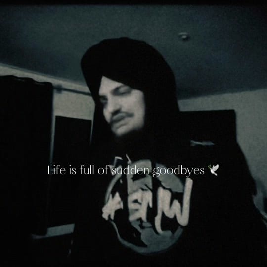 Post 4 by Rajinder24_ on TikTok (video)