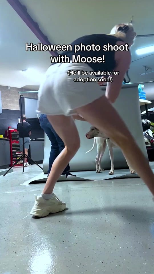 Post 3 by Hannah Carl on TikTok (video)