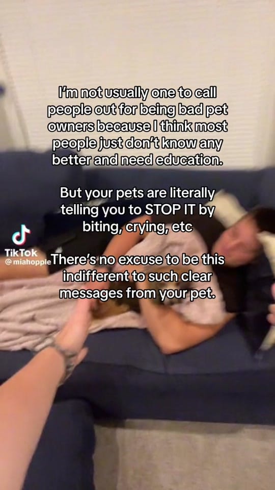 Post 5 by Hannah Carl on TikTok (video)