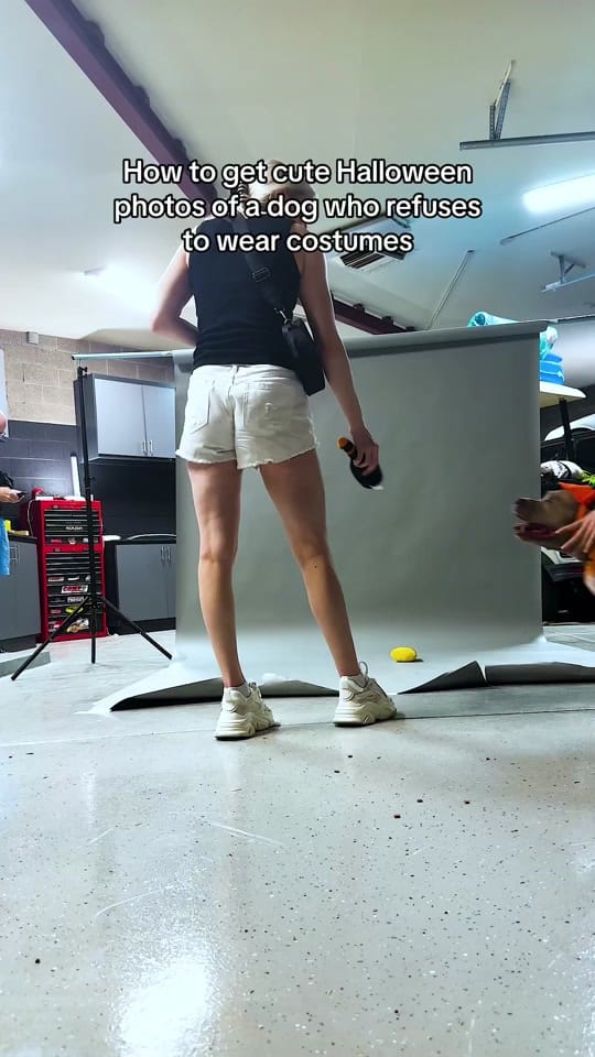 Post 2 by Hannah Carl on TikTok (video)
