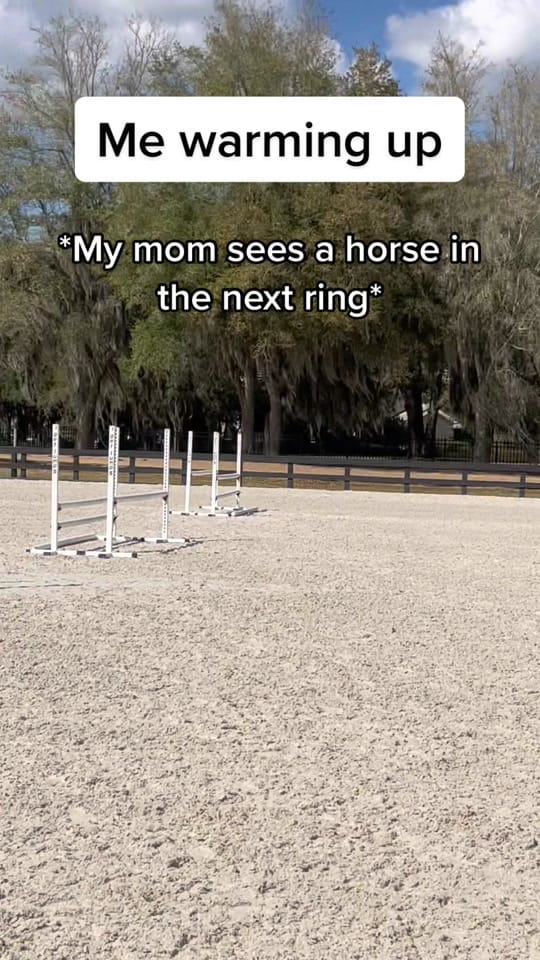 Post 10 by Eva🐴 on TikTok (video)