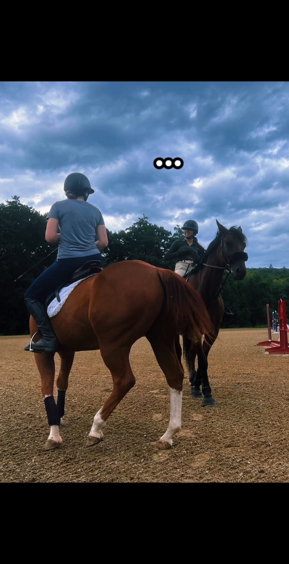 Post 9 by Eva🐴 on TikTok (video)