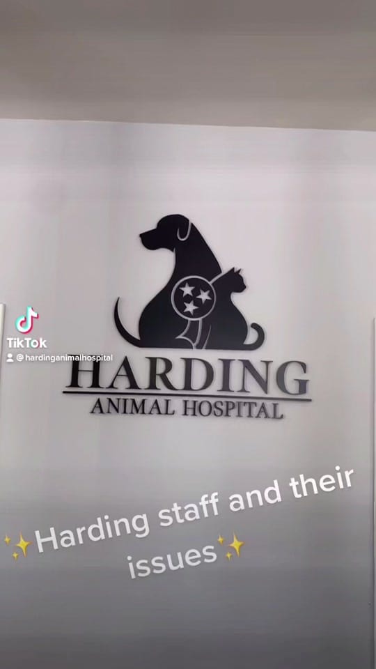 Post 5 by HardingAnimalHospital on TikTok (video)