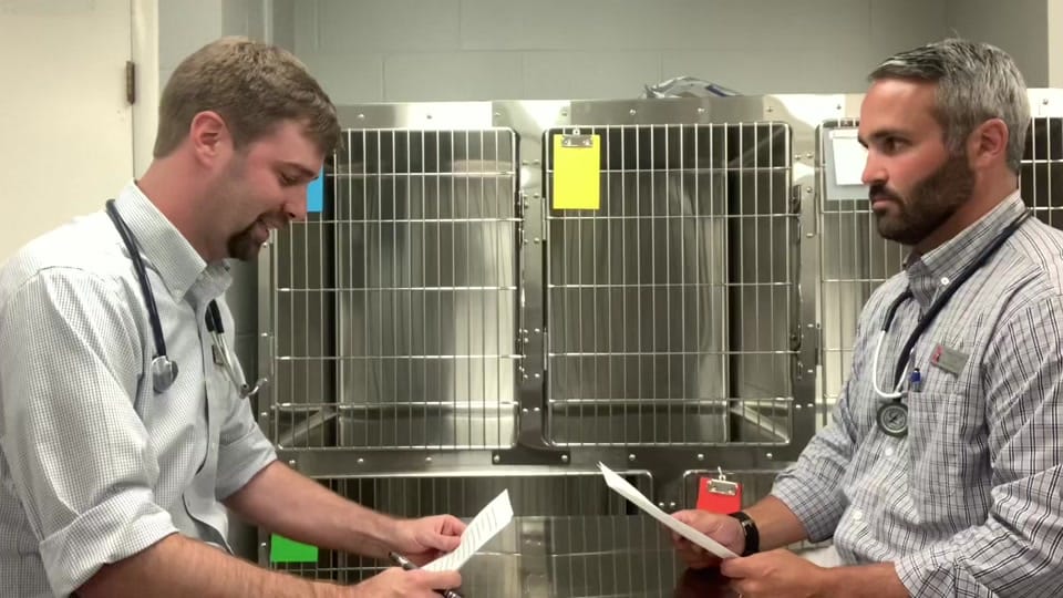 Post 9 by HardingAnimalHospital on TikTok (video)