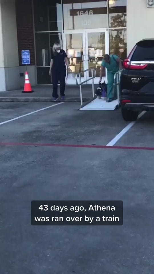 Post 7 by #ThisisHouston on TikTok (video)