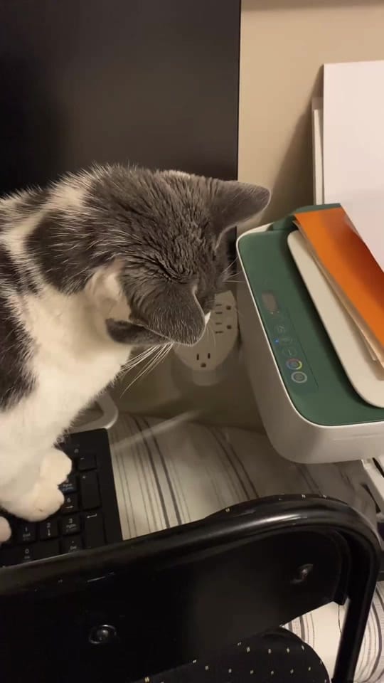 Post 9 by decklyn 🪱 on TikTok (video)