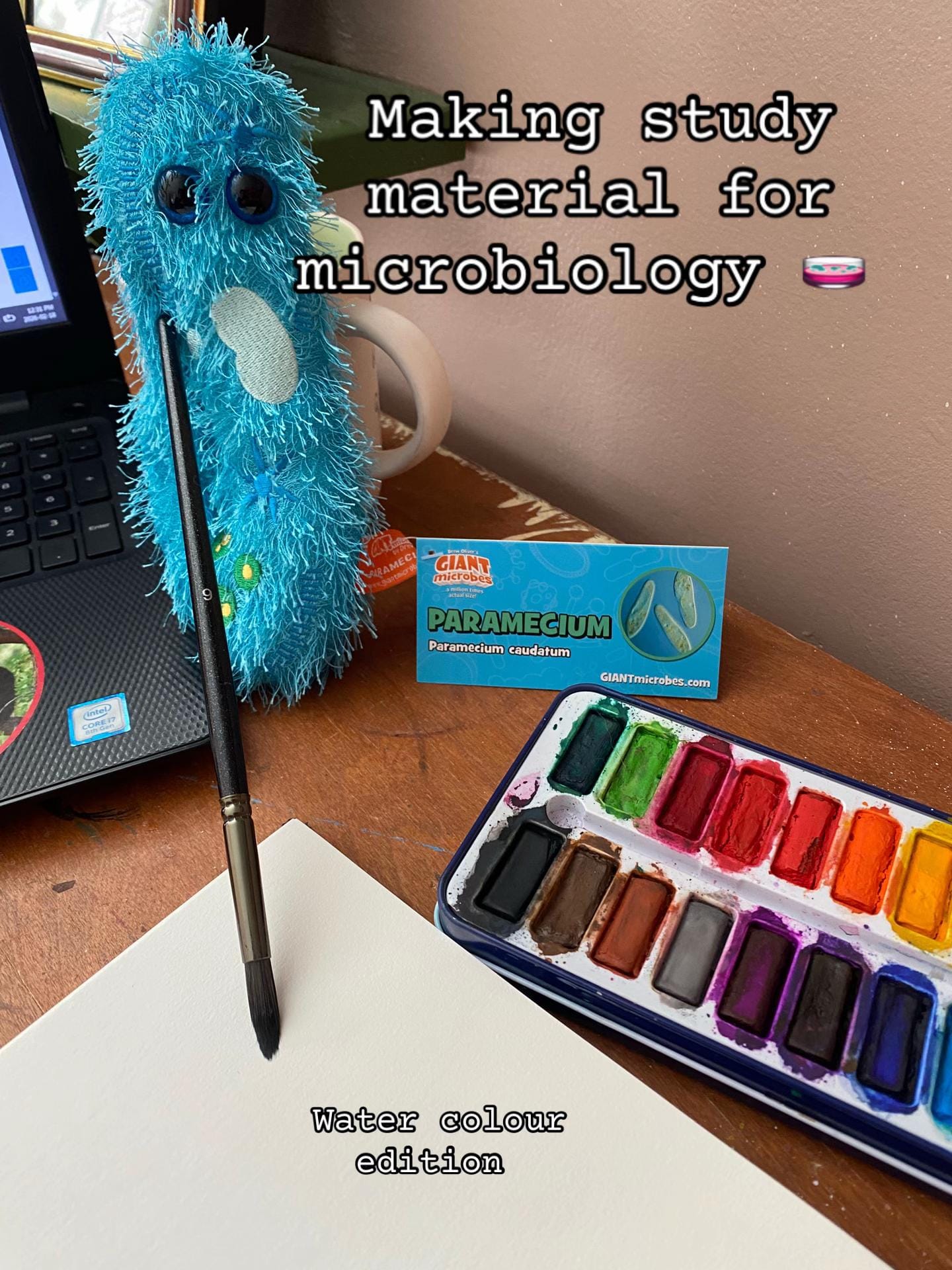 Post 7 by decklyn 🪱 on TikTok (video)