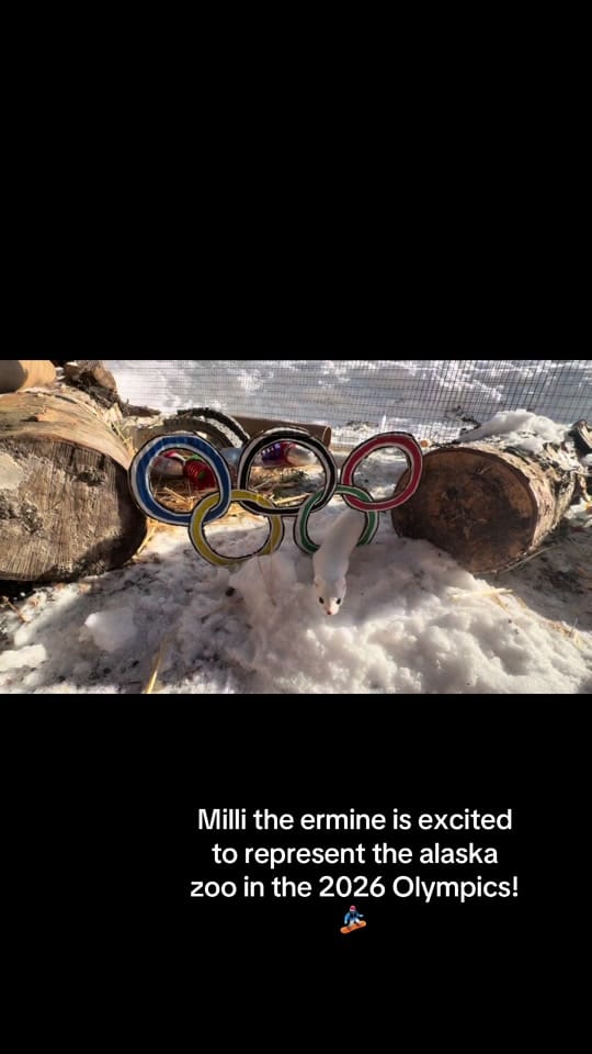 Post 6 by Inge 🖤 on TikTok (video)