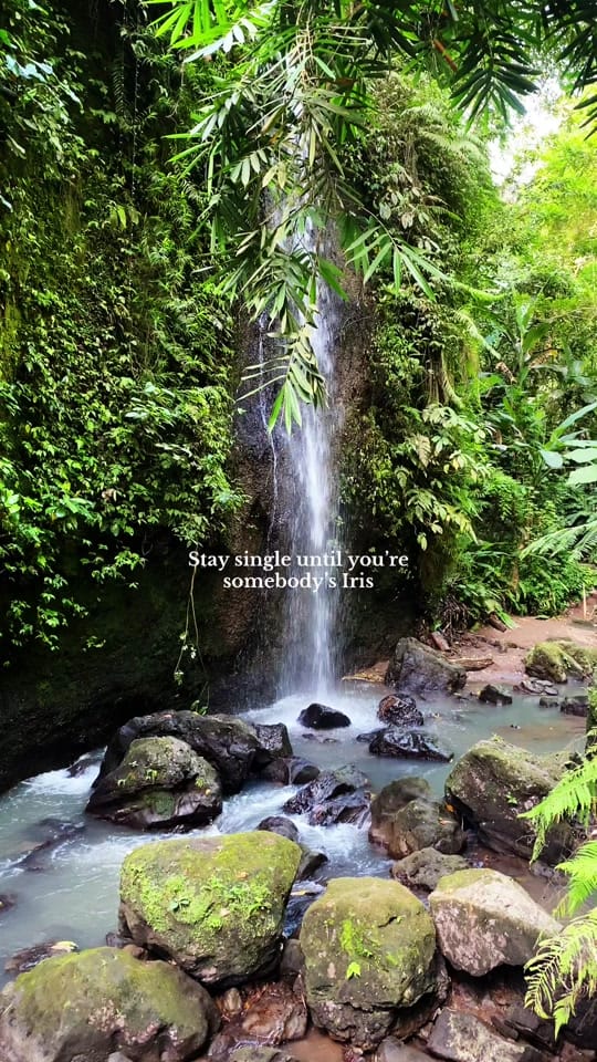 Post 7 by Michelle Crossan on TikTok (video)