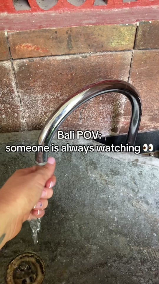 Post 6 by Michelle Crossan on TikTok (video)