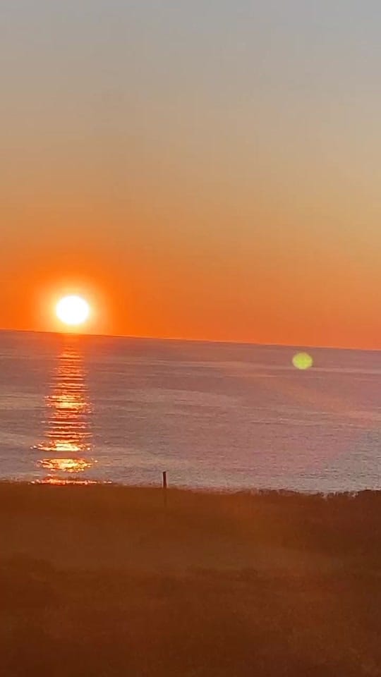 Post 6 by MaryDawn Howard🇨🇦 ❌ on TikTok (video)