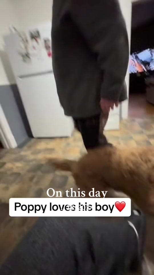 Post 3 by MaryDawn Howard🇨🇦 ❌ on TikTok (video)