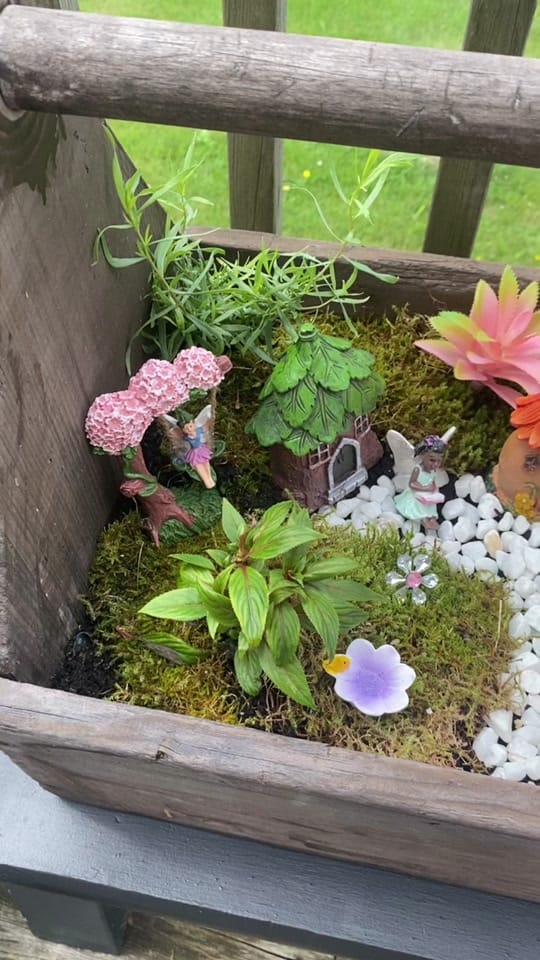 Post 5 by MaryDawn Howard🇨🇦 ❌ on TikTok (video)
