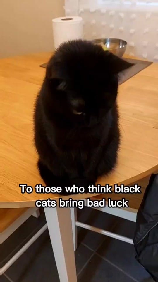Post 9 by BlackVelvet on TikTok (video)