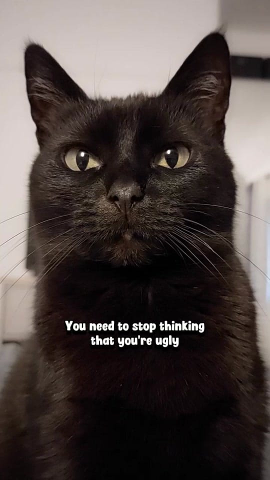Post 1 by BlackVelvet on TikTok (video)