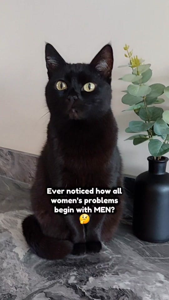 Post 3 by BlackVelvet on TikTok (video)