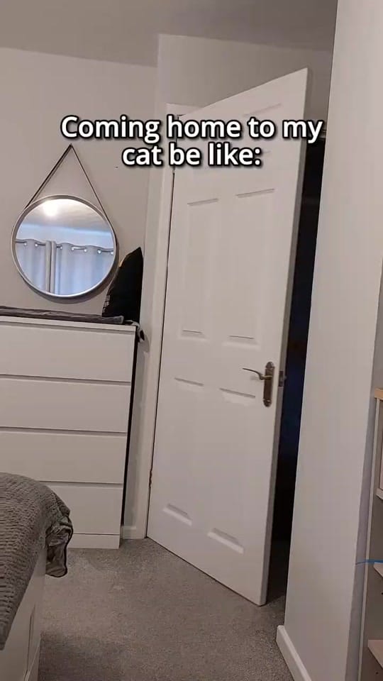 Post 8 by BlackVelvet on TikTok (video)