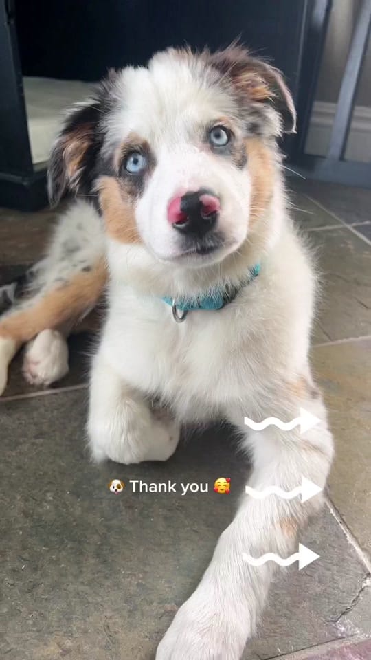 Post 10 by 🌟Starlette🌟 on TikTok (video)