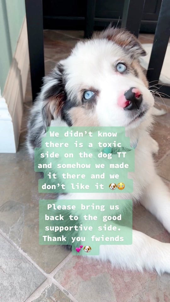 Post 8 by 🌟Starlette🌟 on TikTok (video)