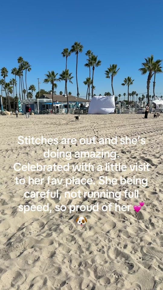 Post 5 by 🌟Starlette🌟 on TikTok (video)