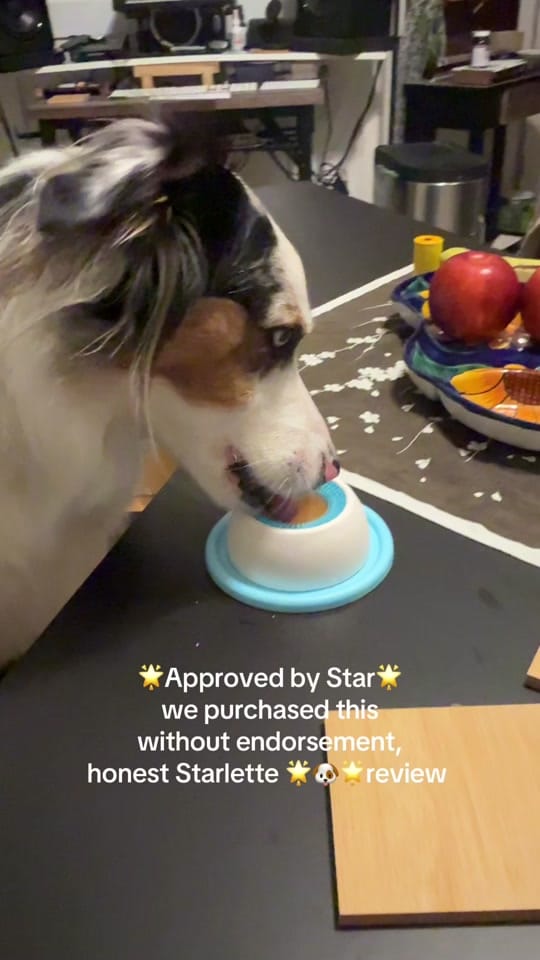 Post 1 by 🌟Starlette🌟 on TikTok (video)