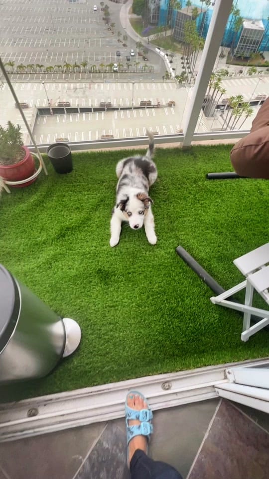 Post 9 by 🌟Starlette🌟 on TikTok (video)