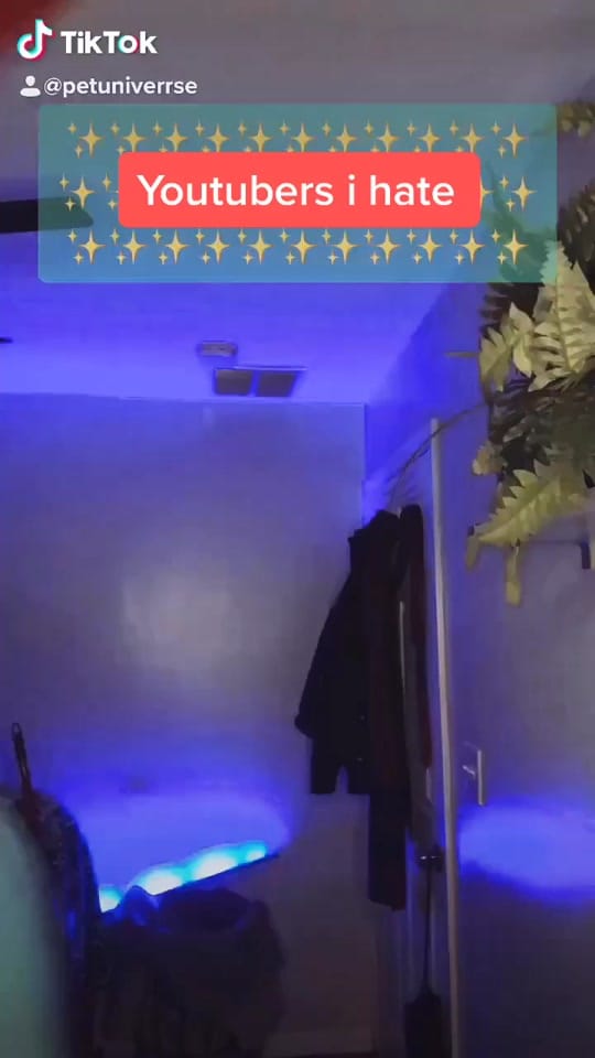 Post 5 by Adrien Universe on TikTok (video)