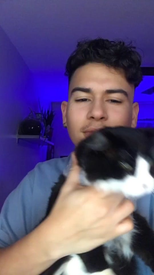 Post 2 by Adrien Universe on TikTok (video)