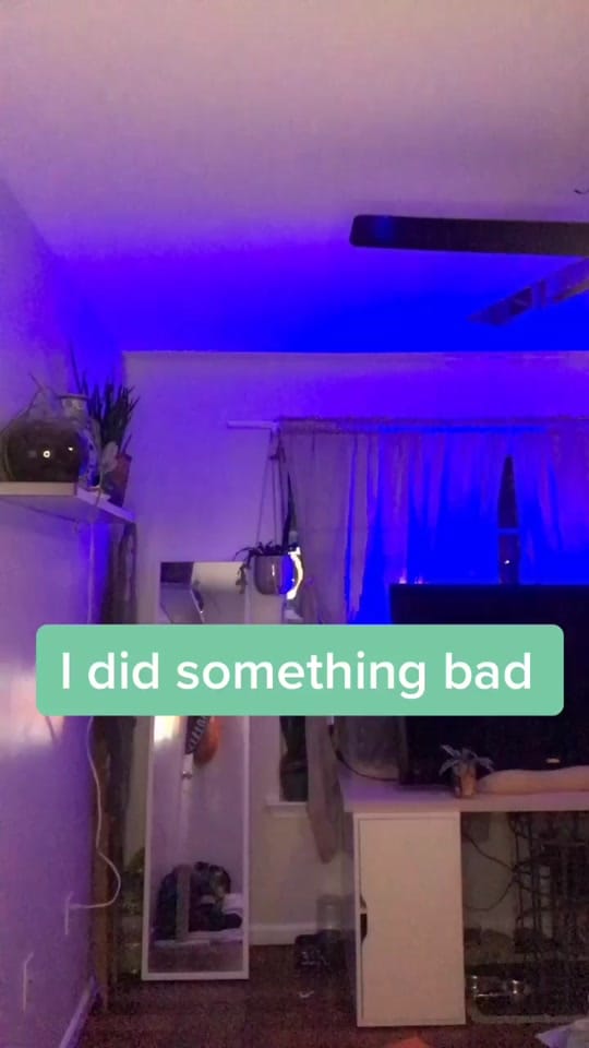 Post 4 by Adrien Universe on TikTok (video)
