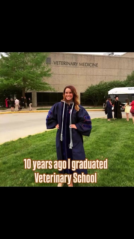 Post 2 by Kayley  DVM on TikTok (video)