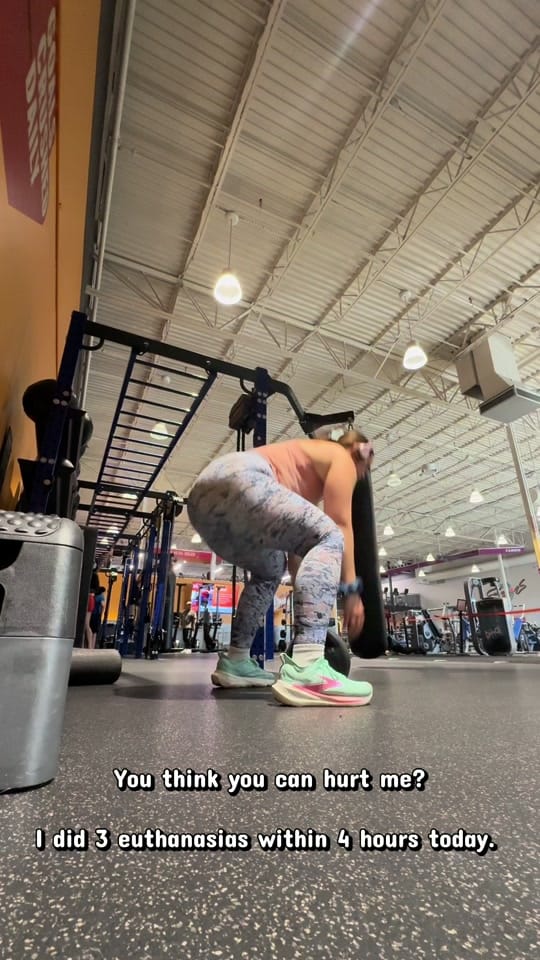 Post 1 by Kayley  DVM on TikTok (video)