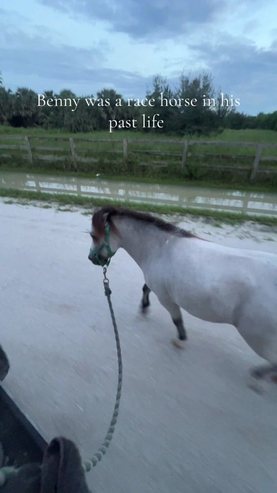 Post 8 by CrazyRae ⚡️ on TikTok (video)