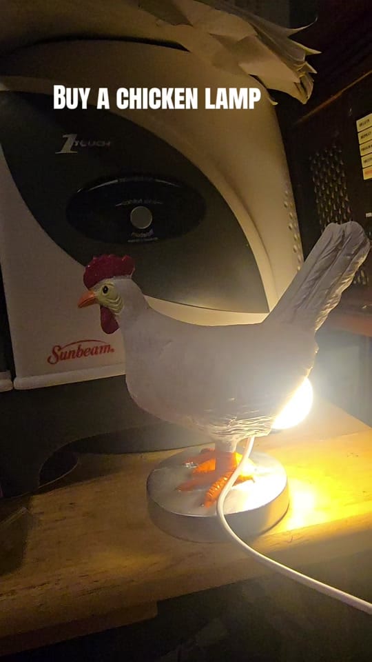 Post 8 by FluffyLayersHomestead on TikTok (video)