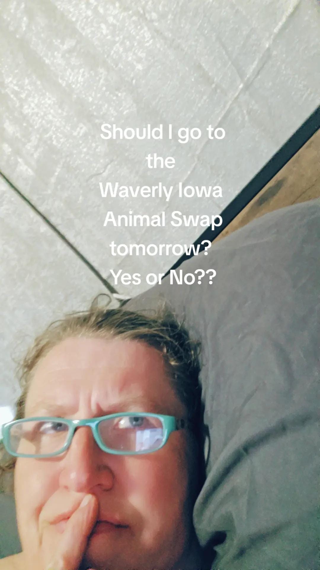 Post 6 by FluffyLayersHomestead on TikTok (video)