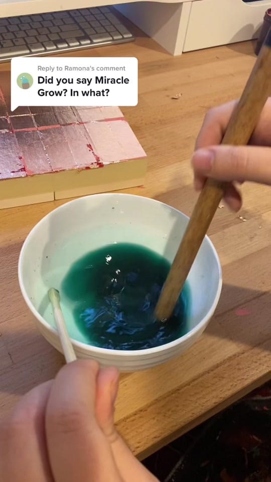 Post 2 by Lauren Brevner on TikTok (video)