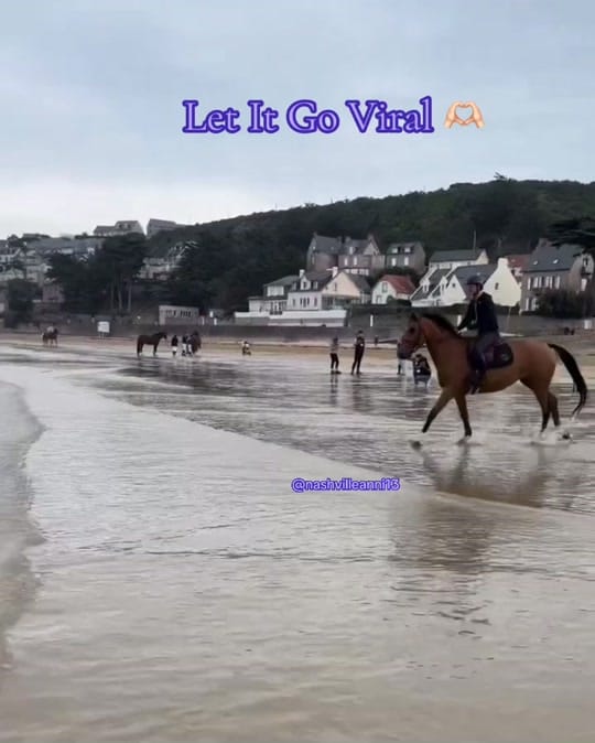 Post 1 by 𝓌𝒾𝒻𝑒𝓎❥𝑜𝒻❥𝓁𝒿𝒿 on TikTok (video)