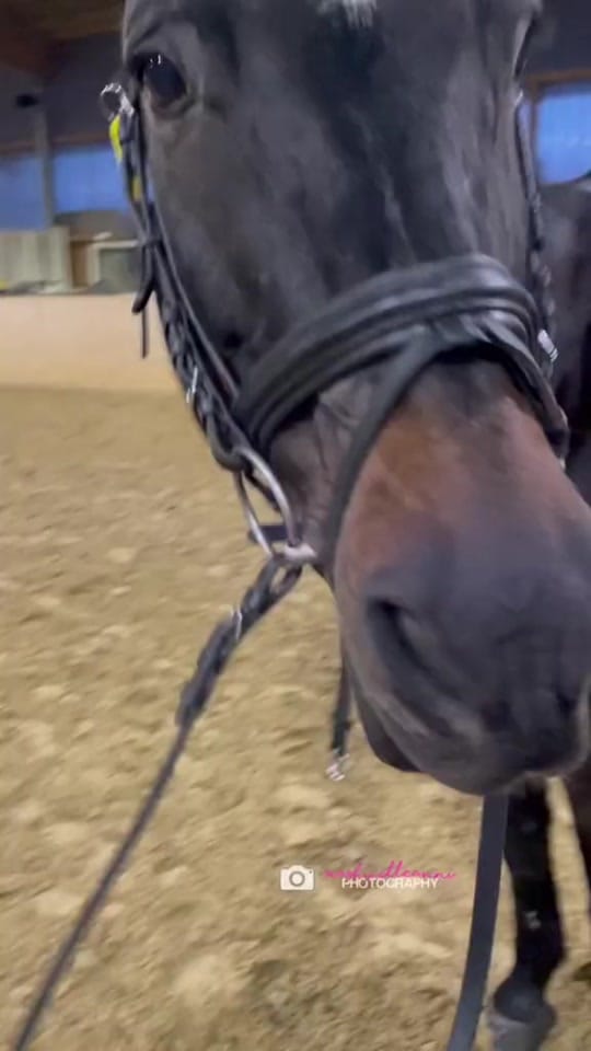 Post 3 by 𝓌𝒾𝒻𝑒𝓎❥𝑜𝒻❥𝓁𝒿𝒿 on TikTok (video)