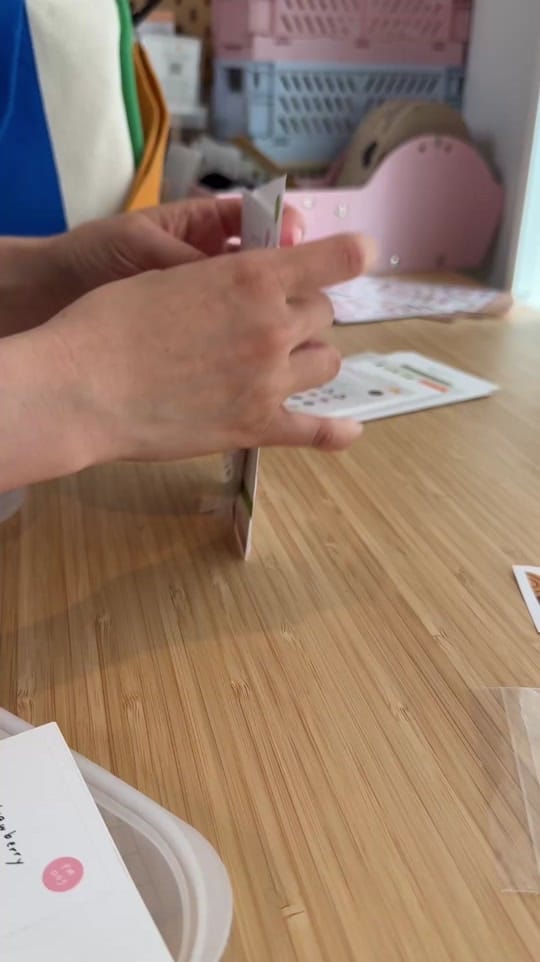 Post 3 by ✿ Sugar Plum Paper ✿ on TikTok (video)