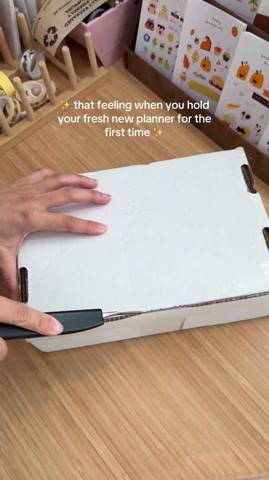 Post 1 by ✿ Sugar Plum Paper ✿ on TikTok (video)