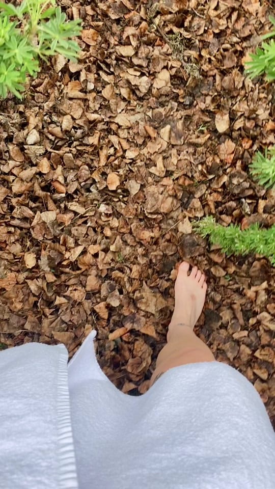 Post 5 by Megan Jayne on TikTok (video)