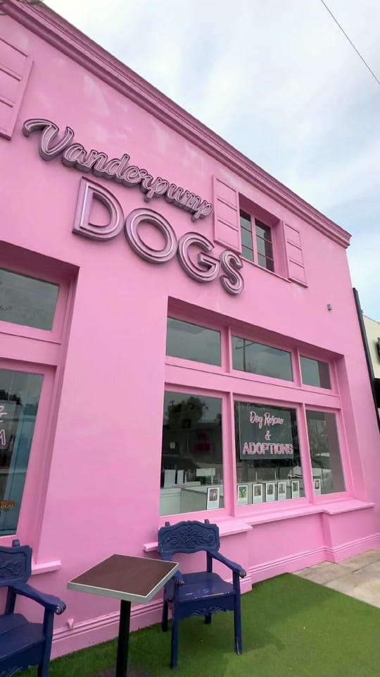 Post 8 by Vanderpump Dogs on TikTok (video)