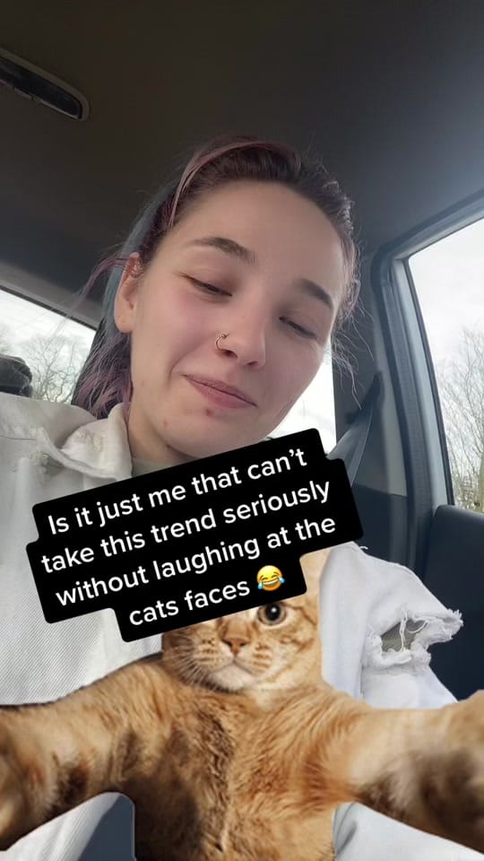 Post 3 by Rachel on TikTok (video)