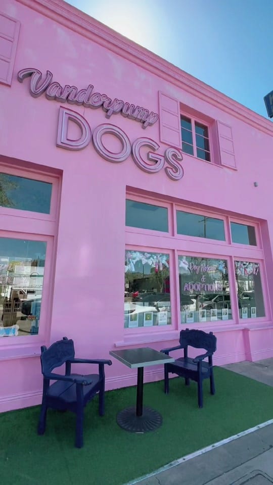 Post 9 by Vanderpump Dogs on TikTok (video)