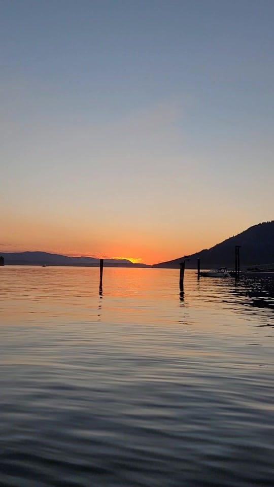 Post 3 by Milk Thistle | Angela Wells on TikTok (video)