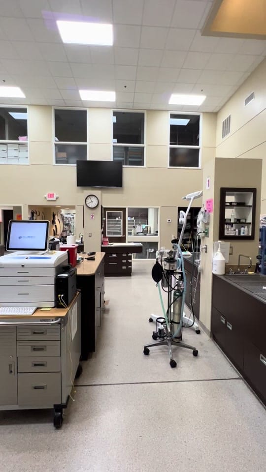 Post 5 by Dr F on TikTok (video)